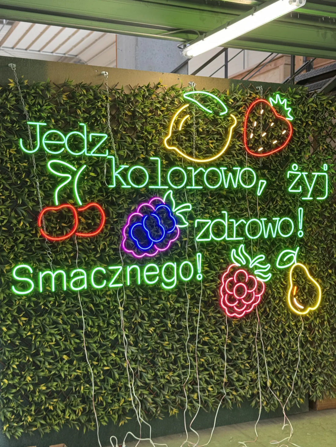 jedz kolorowo, żyj zdrowo! smacznego! realizacja neonverse dla szkół w ramach programu zdrowego jedzenia