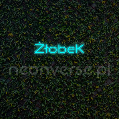 Indywidualny projekt: ŻłobeK