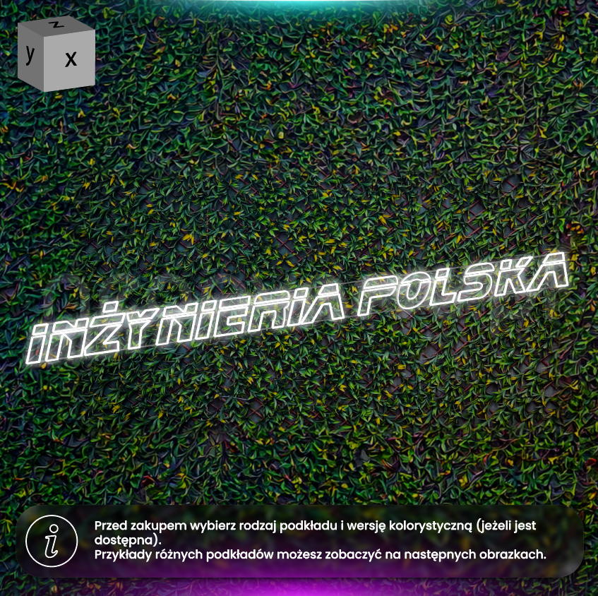 Inżynieria Polska