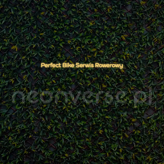 Indywidualny projekt: Perfect Bike Se...