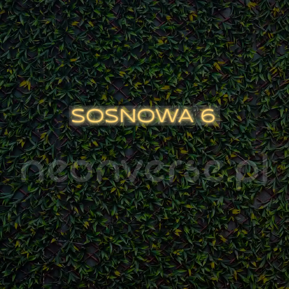 Indywidualny projekt: SOSNOWA 6