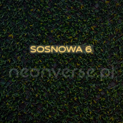 Indywidualny projekt: SOSNOWA 6