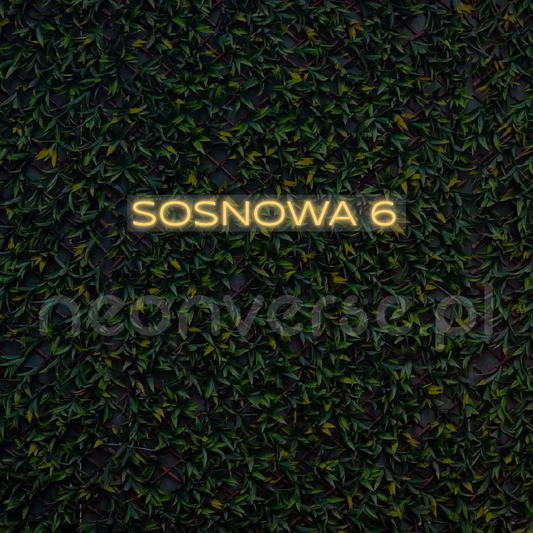 Indywidualny projekt: SOSNOWA 6