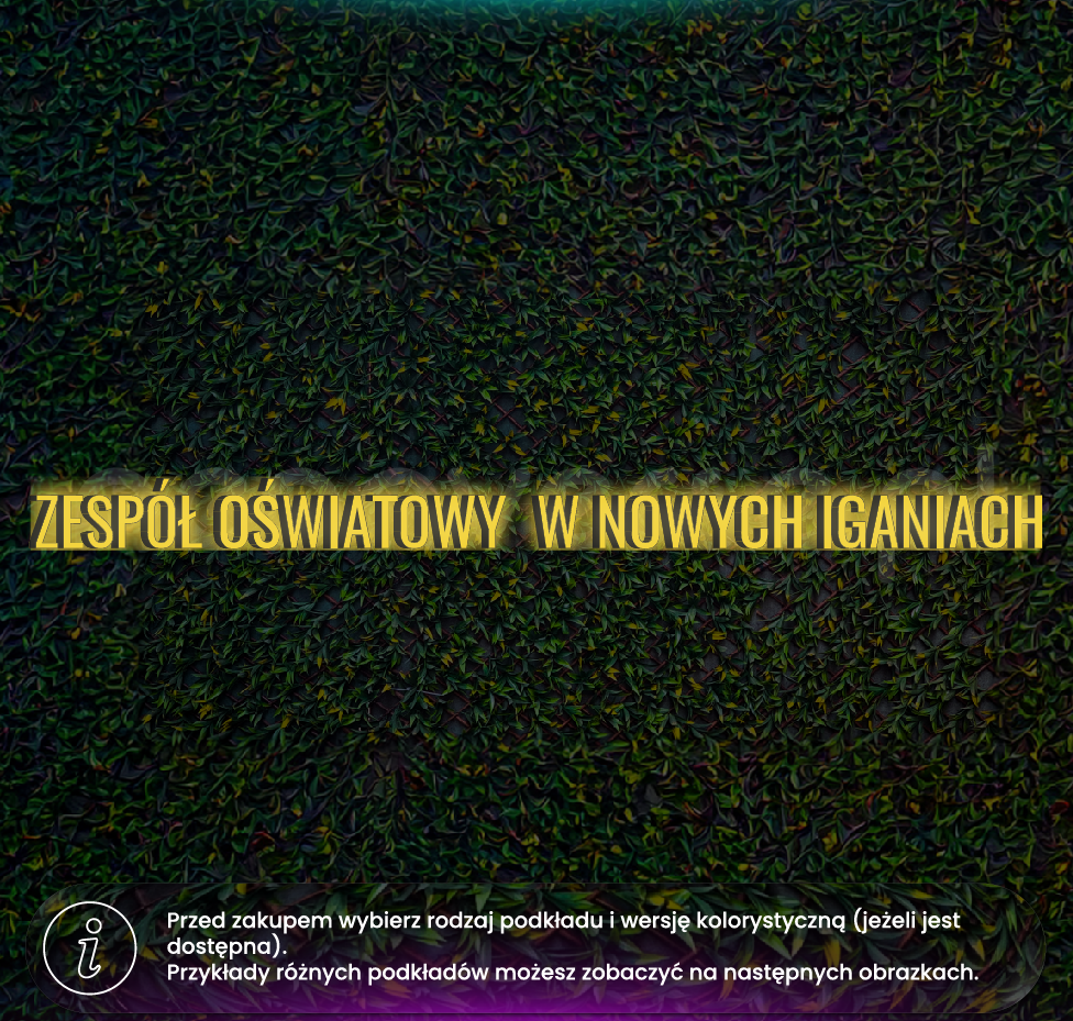 Zespół Oświatowy w Nowych Iganiach litery 3D