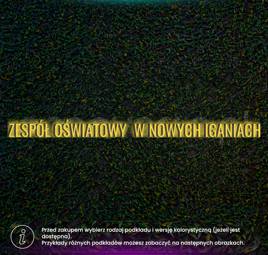 Zespół Oświatowy w Nowych Iganiach litery 3D