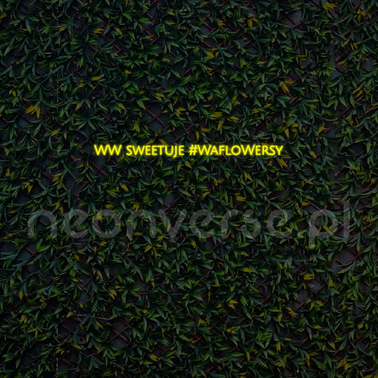Indywidualny projekt: WW sweetuje #Wa...