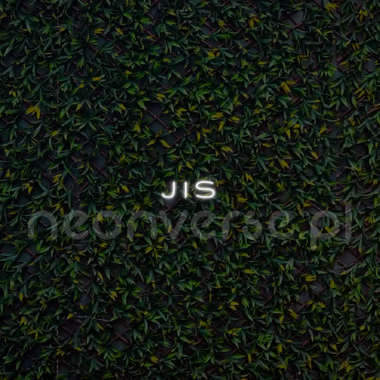 Indywidualny projekt: J l S