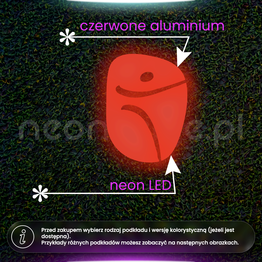 Basi Pilates podświetlone