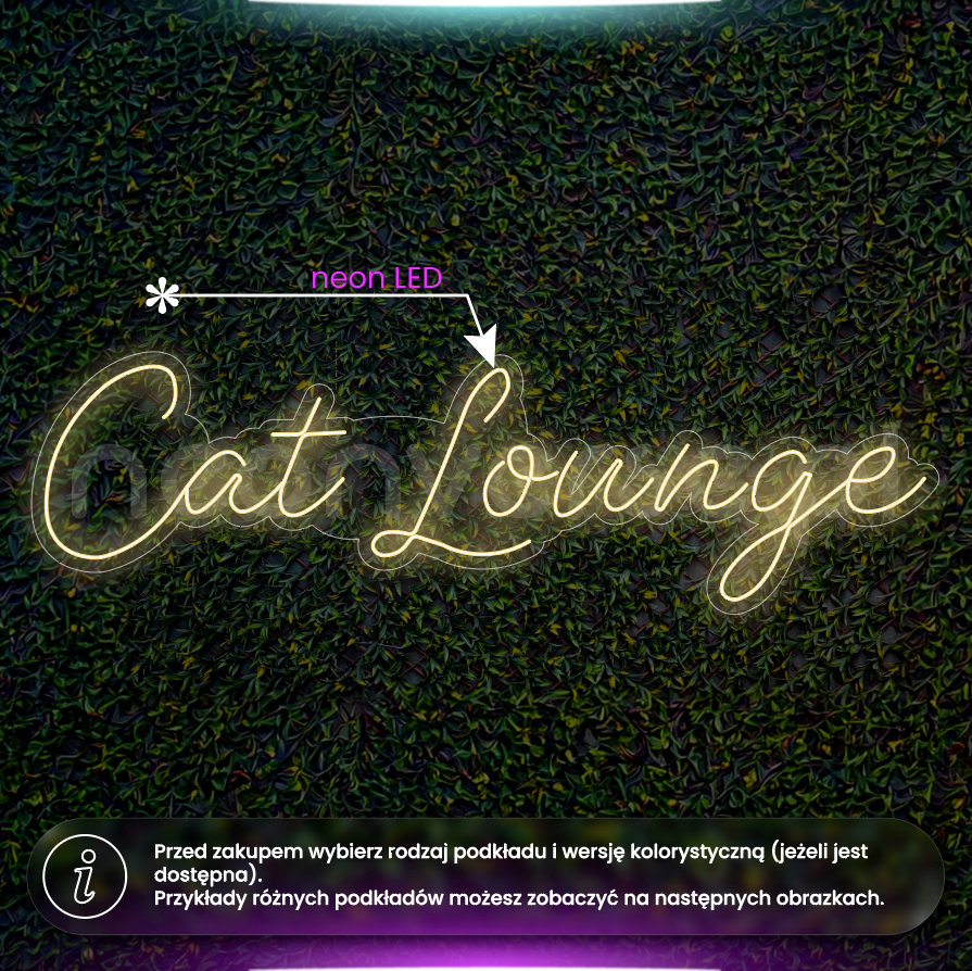 Cat Lounge