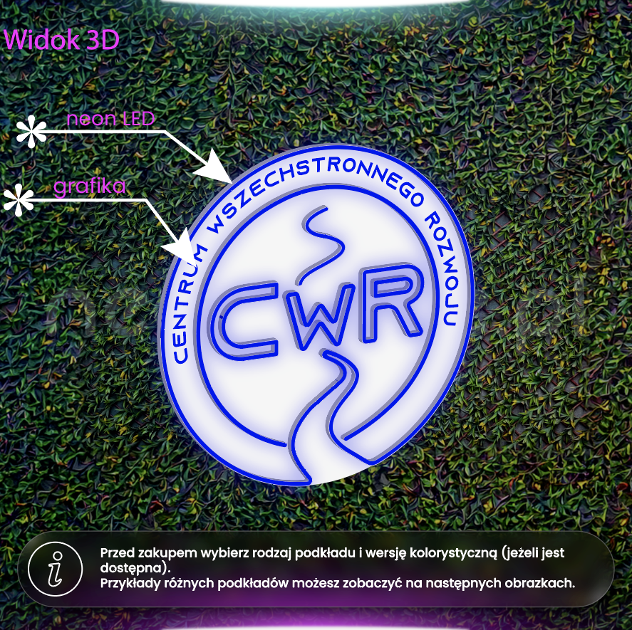 Centrum wszechstronnego rozwoju - neon LED z grafiką