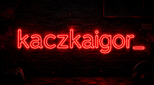 kaczkaigor - neon LED