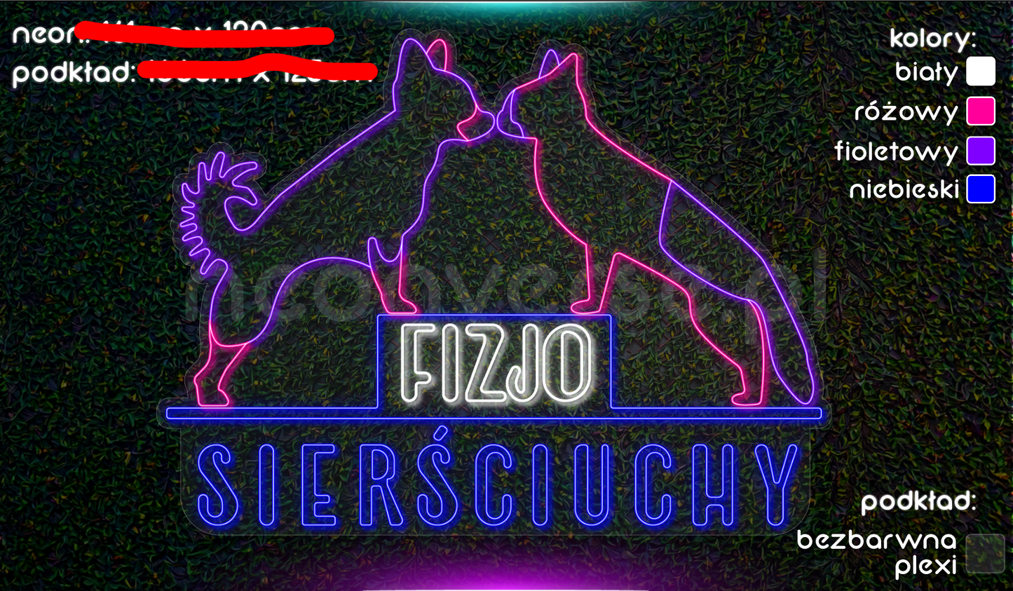 Fizjo Sierściuchy