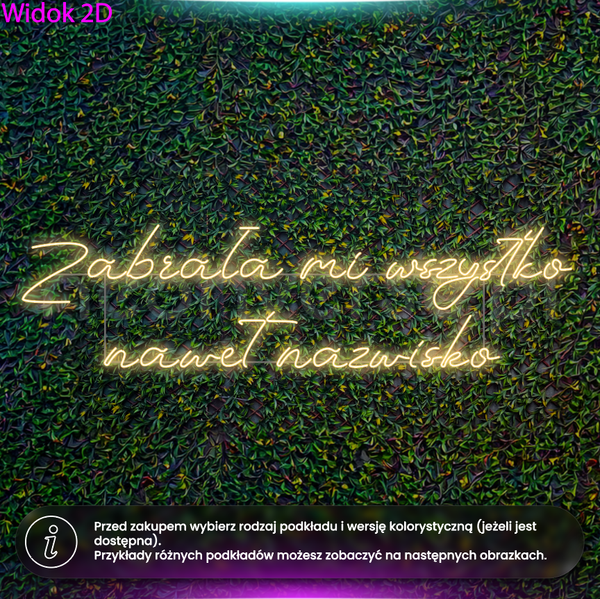 Zabrała mi wszystko, nawet nazwisko - wariant 3 - neon LED