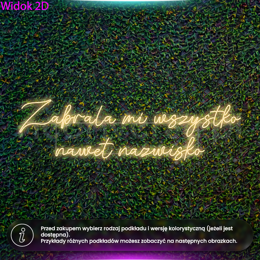 Zabrała mi wszystko, nawet nazwisko - wariant 3 - neon LED