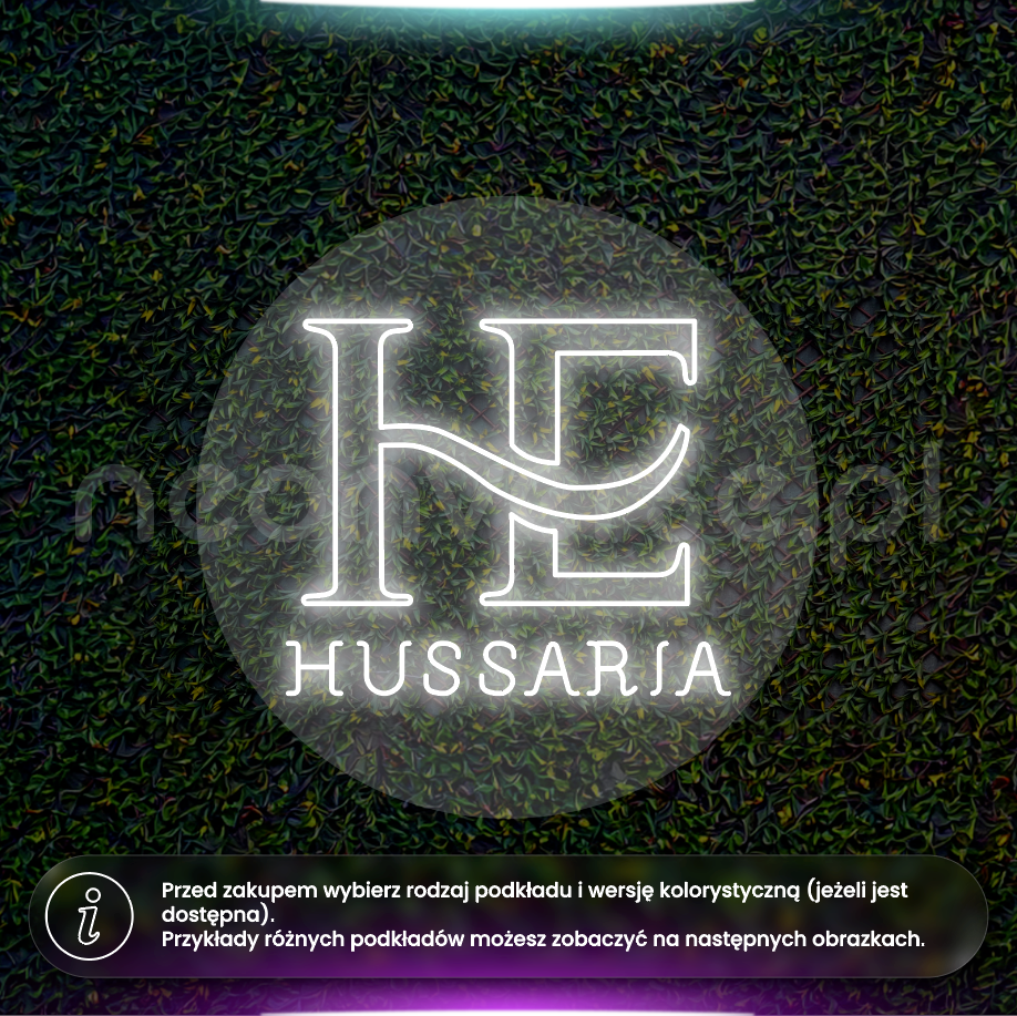 Hussaria