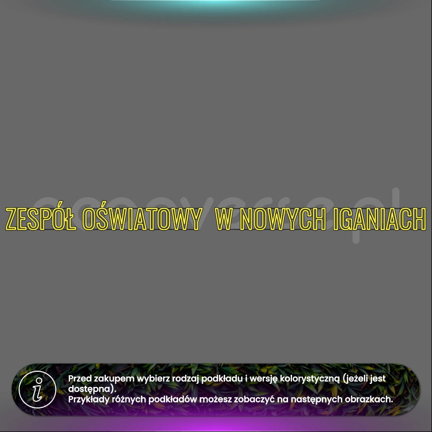 Zespół Oświatowy w Nowych Iganiach