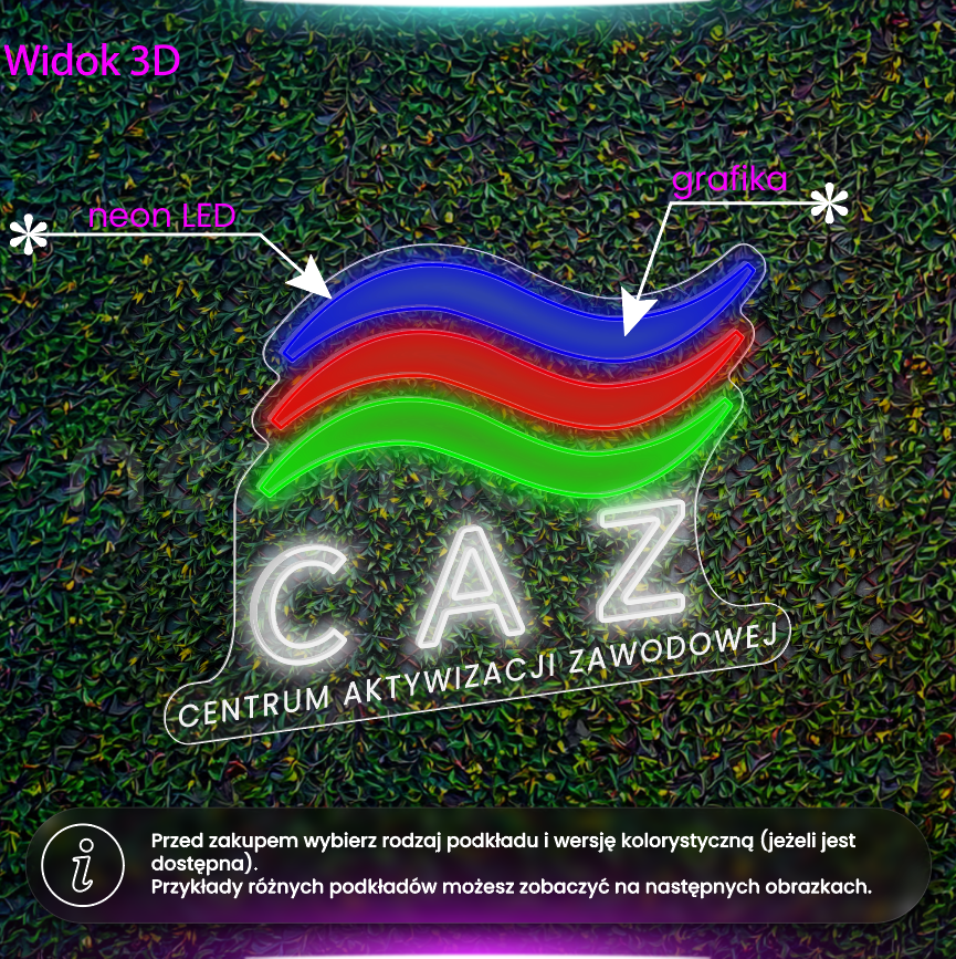 Centrum aktywizacji zawodowej - neon LED
