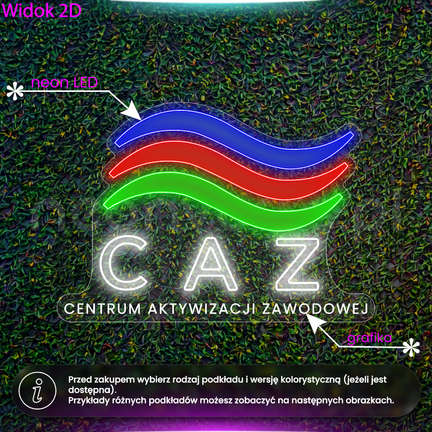 Centrum aktywizacji zawodowej - neon LED