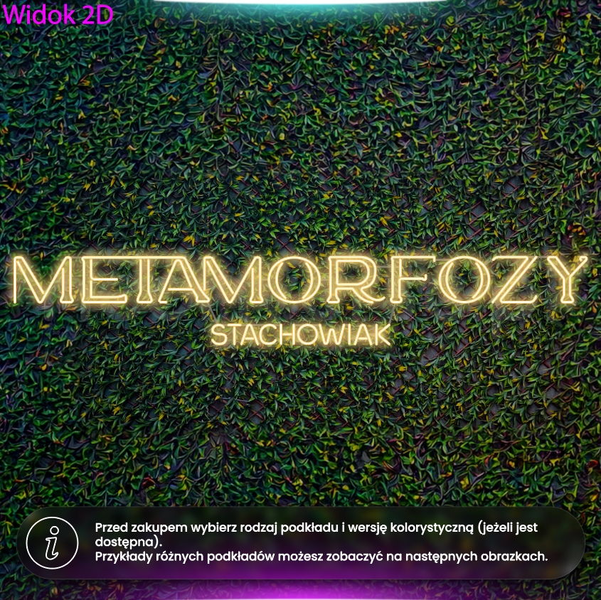 Metamorfozy Stachowiak - wersja bez logo - neon LED