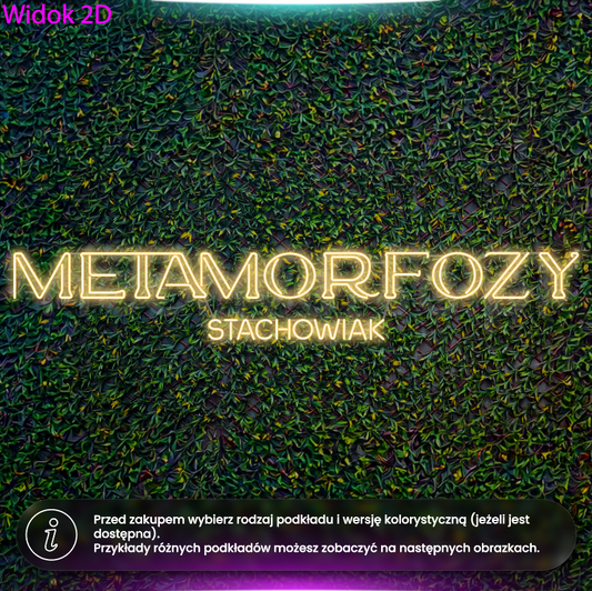 Metamorfozy Stachowiak - wersja bez logo - neon LED