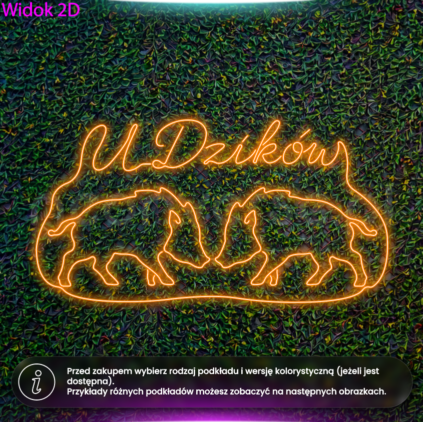 U Dzików - neon LED