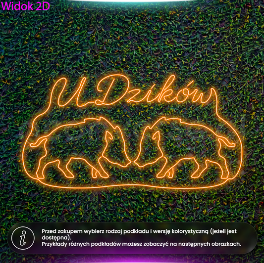 U Dzików - neon LED