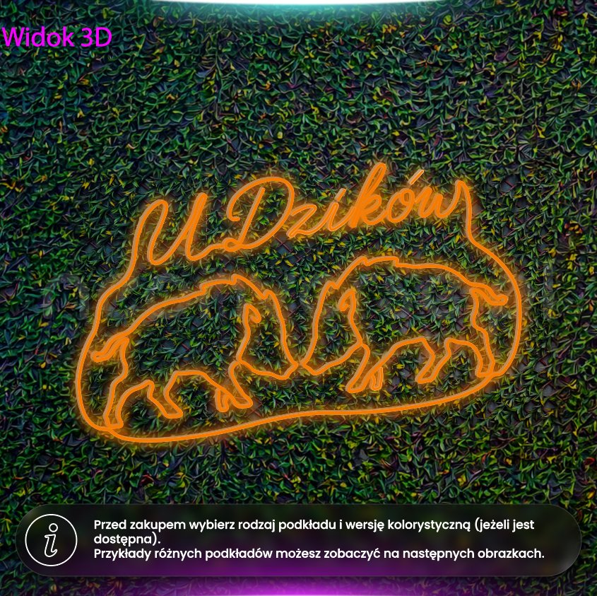 U Dzików - neon LED