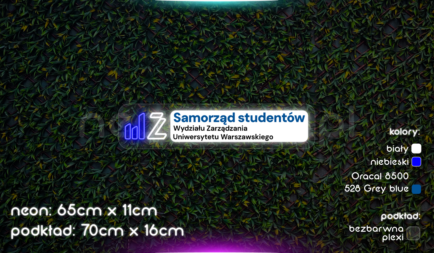 Samorząd Studentów