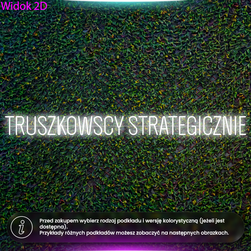 Truszkowscy strategicznie - neon LED