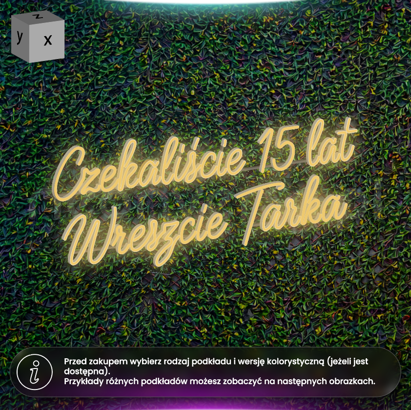 Zabrała mi wszystko, nawet nazwisko - neon LED
