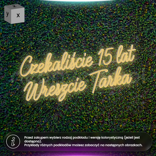 Zabrała mi wszystko, nawet nazwisko - neon LED