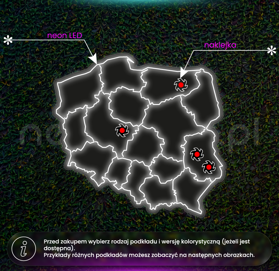 Puidukoda mapa oddziałów