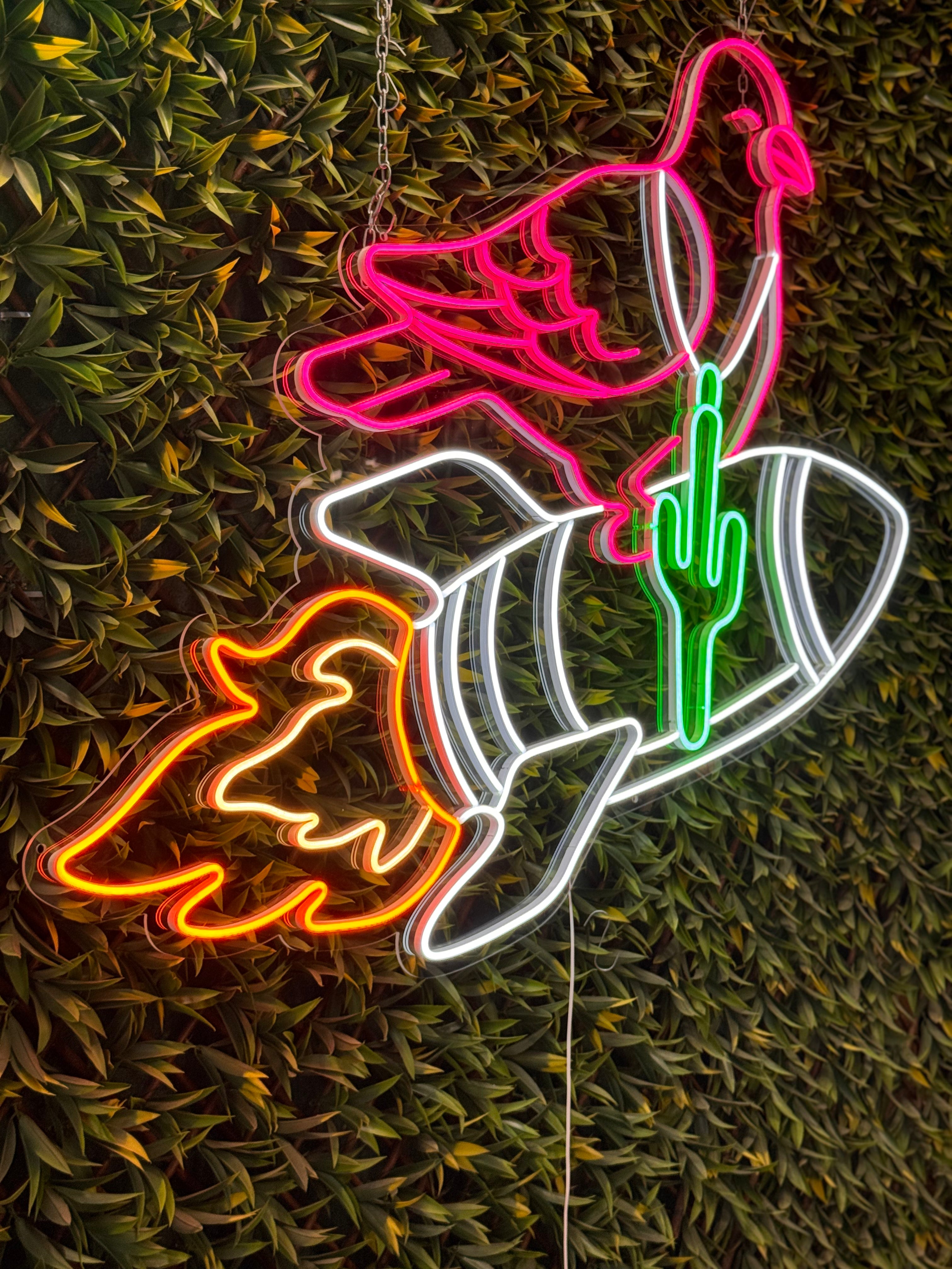 neon LED z gołębiem