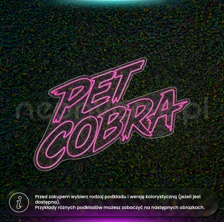 Pet Cobra