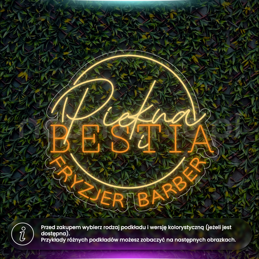 Piękna i Bestia