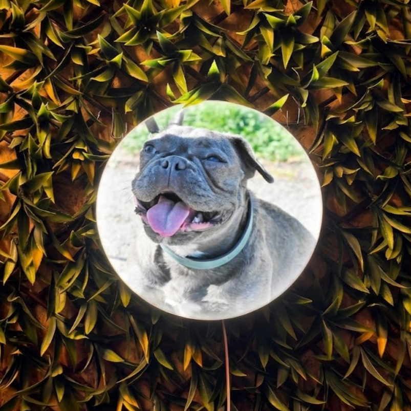 Neon LED lightbox z Twoją grafiką okrągły różne rozmiary