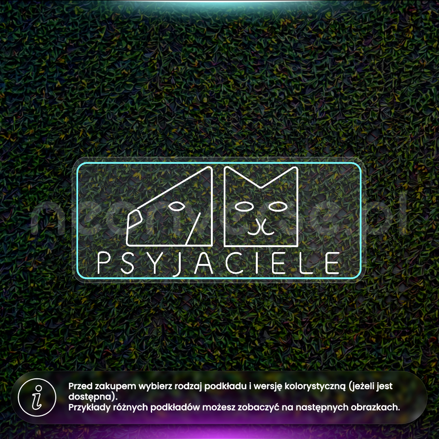 Psyjaciele 2