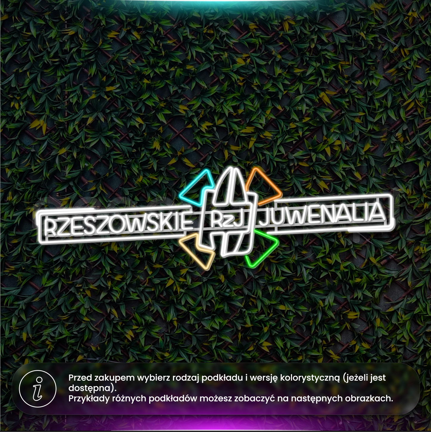 Rzeszowskie Juwenalia panorama