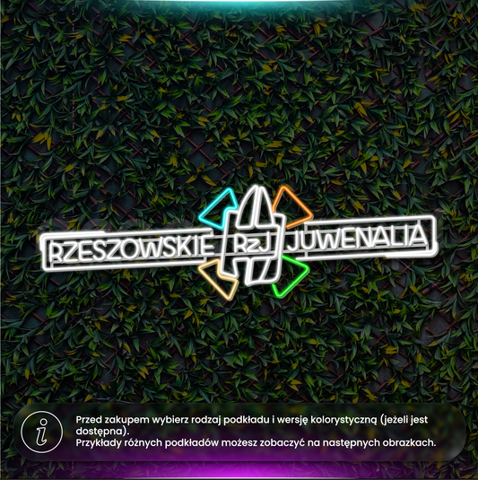 Rzeszowskie Juwenalia panorama