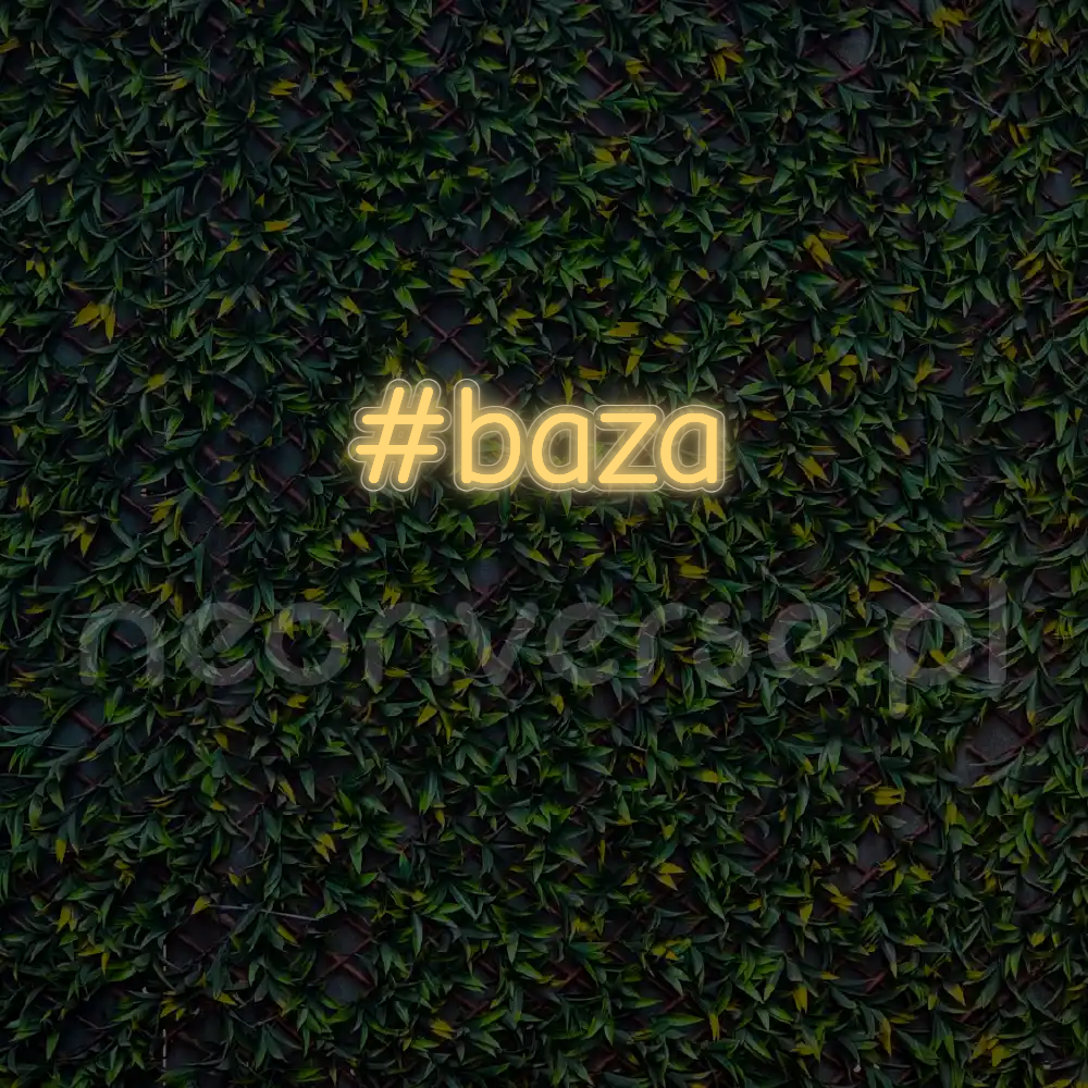 Indywidualny projekt: #baza