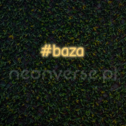 Indywidualny projekt: #baza