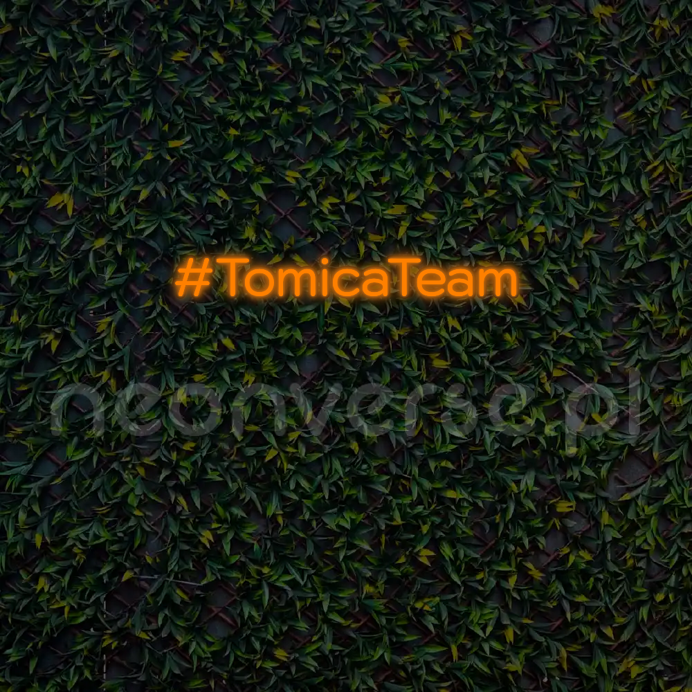 Indywidualny projekt: #TomicaTeam