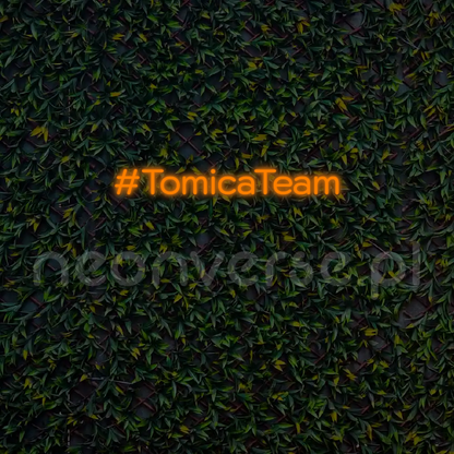 Indywidualny projekt: #TomicaTeam
