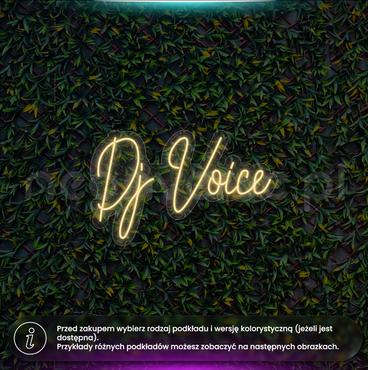 DJ Voice