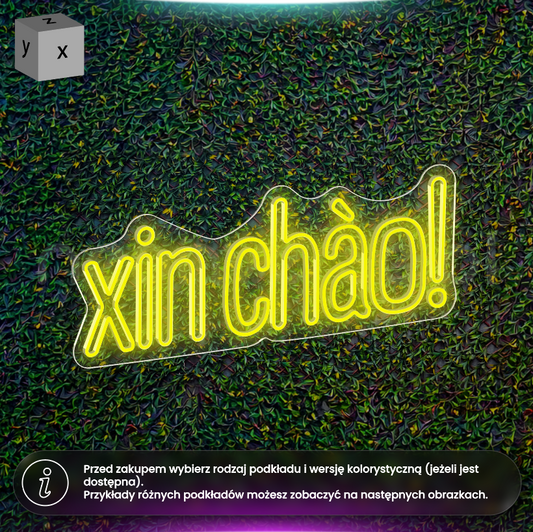 xin chao - neon LED