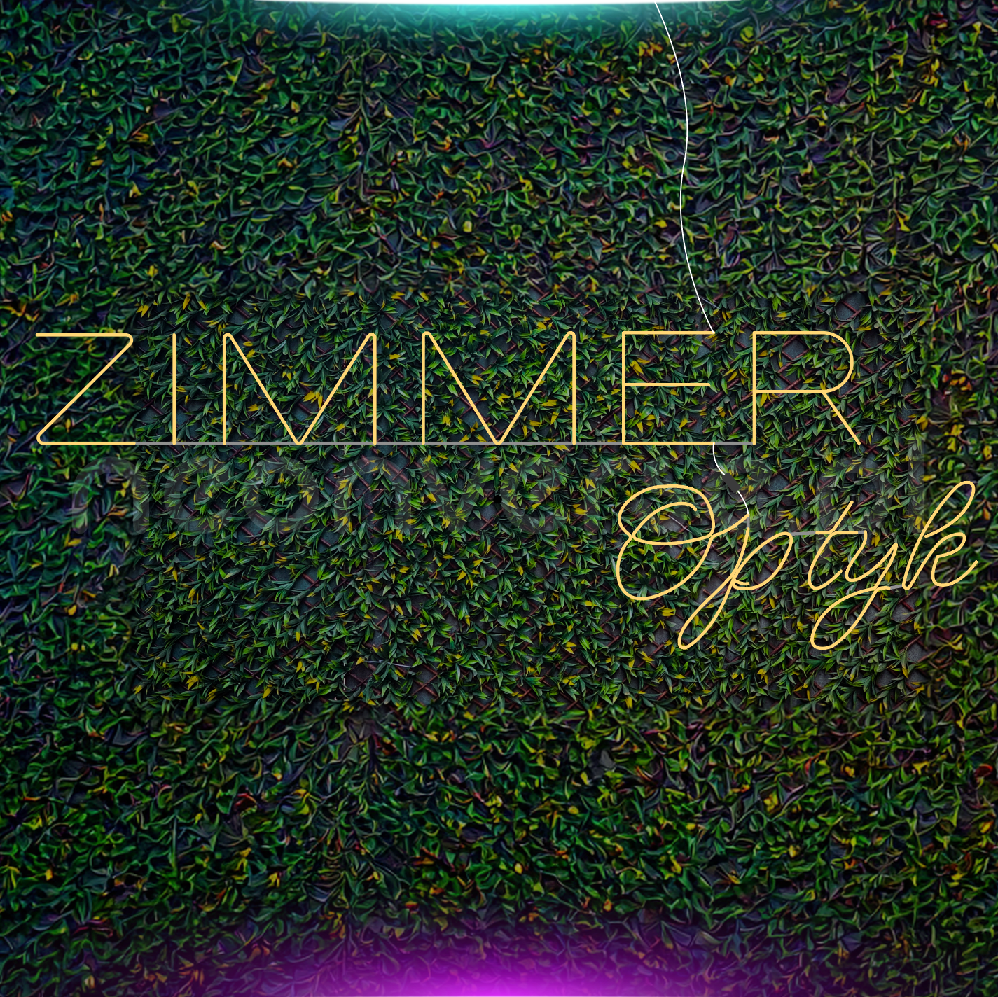 Zimmer Optyk